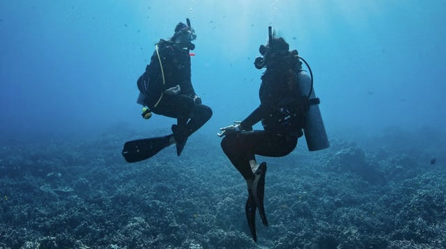 PADI Peak Performance Buoyancy Course, listing photo
