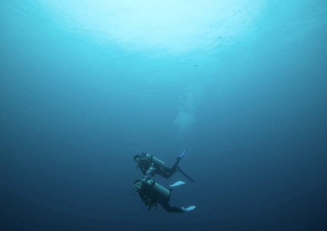PADI Deep Diver Specialty Course, listing photo