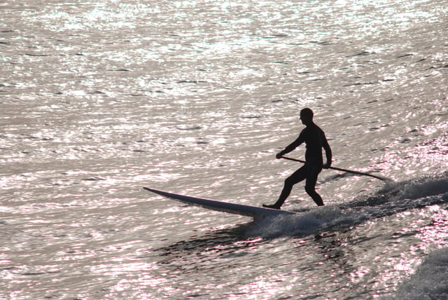Guided Paddleboard Tour in Padstow, listing photo