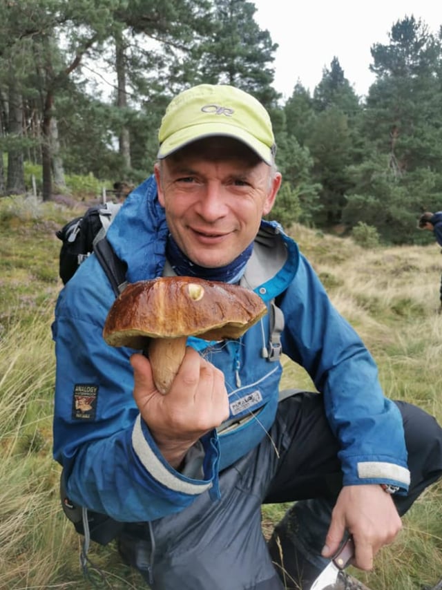 Foraging Trip in the Ancient Caledonian Pine Forests, listing photo