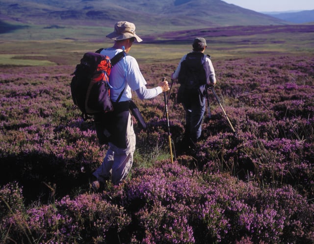 The Complete Cairngorms – 6-Night Hiking Holiday, listing photo