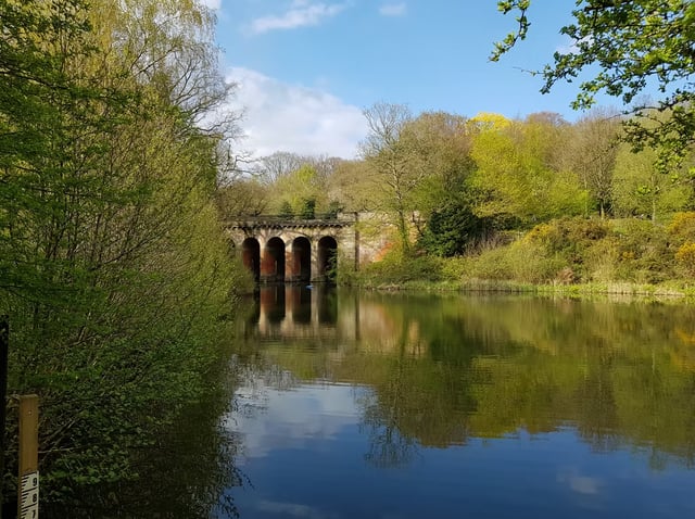 Navigation Course for Beginners in Hampstead Heath, listing photo