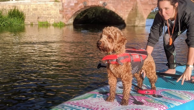 Learn to SUP n PUP Session in Worcestershire, listing photo