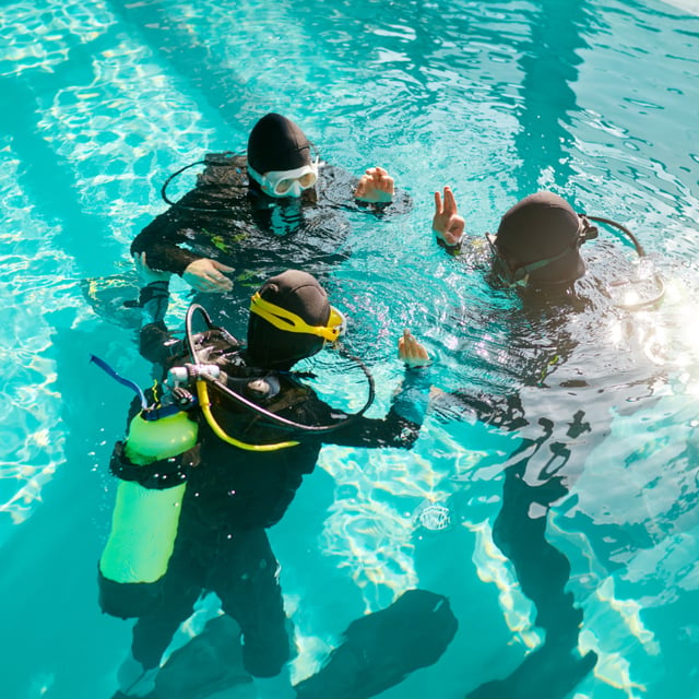 PADI ReActivate Course, listing photo