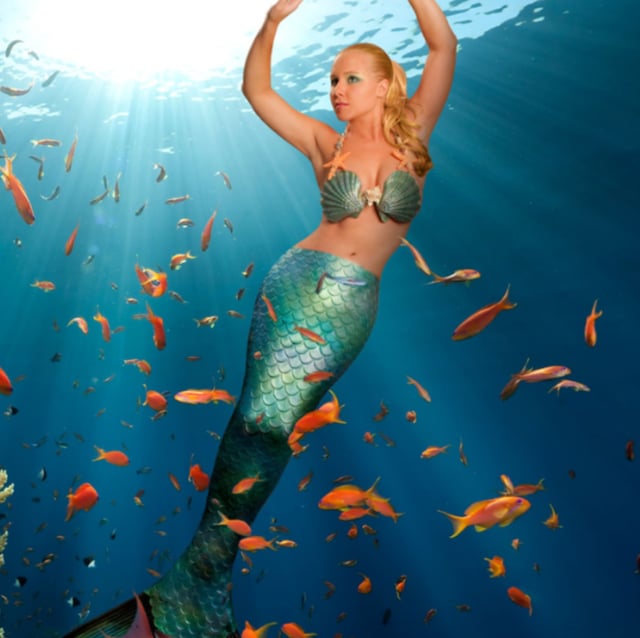 PADI Discover Mermaid Course, listing photo