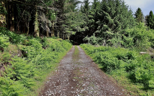 Dartmoor Guided Walking Tours Exploring History and Nature, listing photo