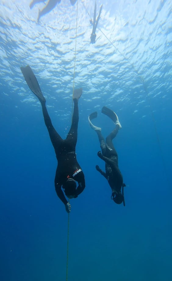 AIDA Level 3 Advanced Freediving Course in Lanzarote, listing photo