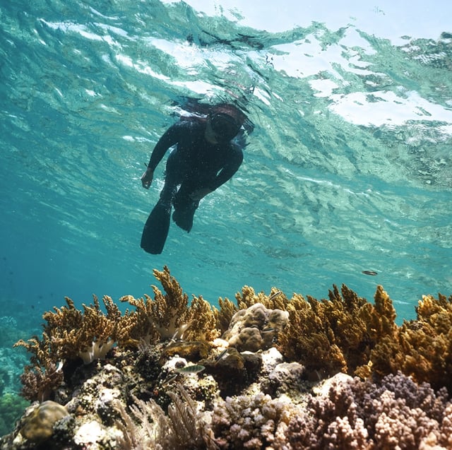 Snorkelling Adventure in North Sulawesi, Indonesia, listing photo