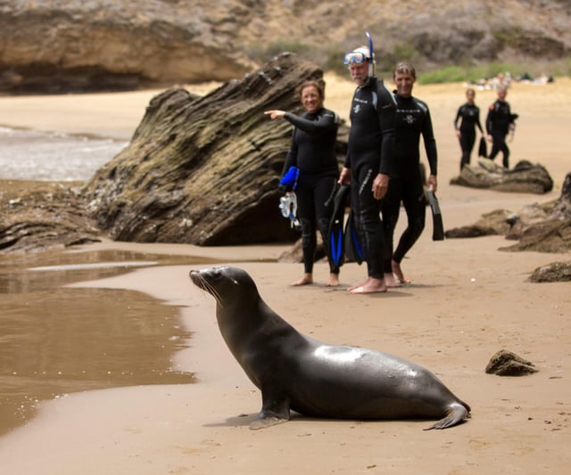7-Night Galapagos Multisport Exploration Trip, listing photo