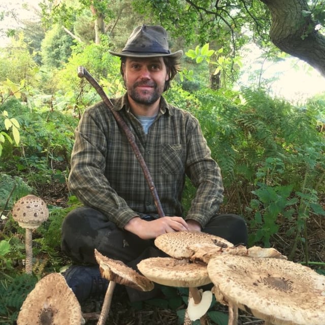 Autumn Foraging Walk at Chirk Castle in Wrexham, listing photo