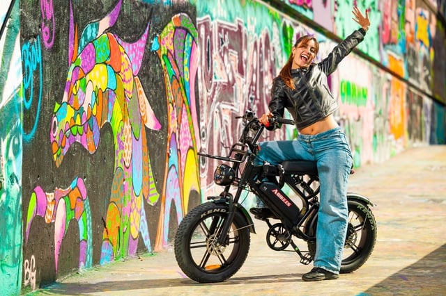 Fat E-Bike Rental in Barcelona, listing photo