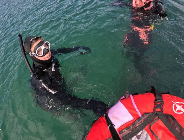 SSI Marine Ecologist Freediver Course in Chester, listing photo