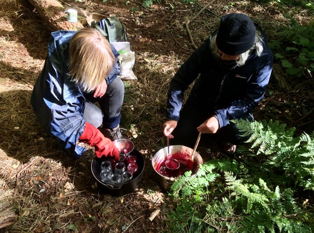2-Day Autumn Foraging and Preserving Course in South London, listing photo