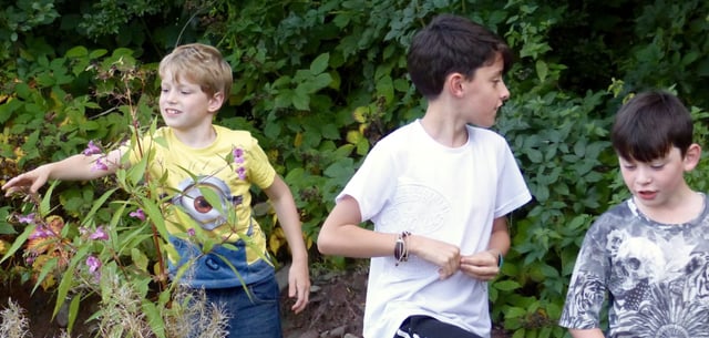 Children’s Woodland Adventure Birthday Package in South London, listing photo