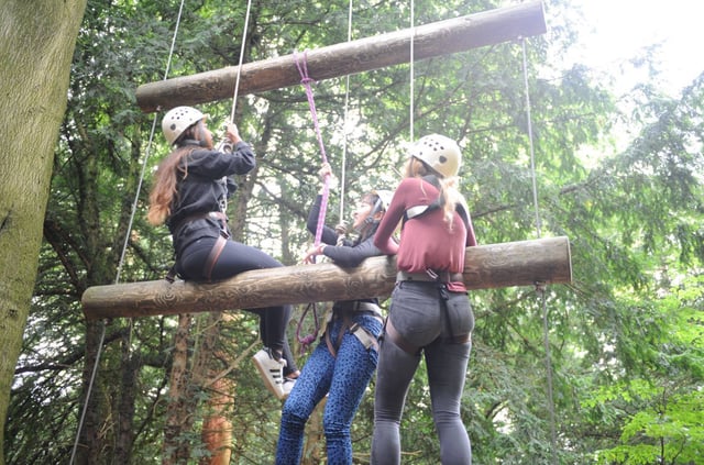 High & Low Ropes Adventure in Harrogate, listing photo