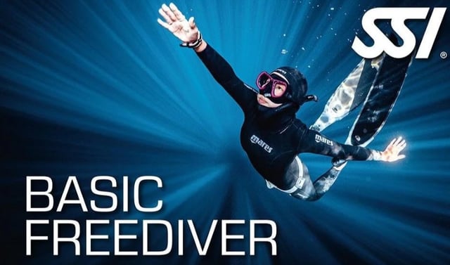 SSI Basic Freediver Course in Oswestry, listing photo