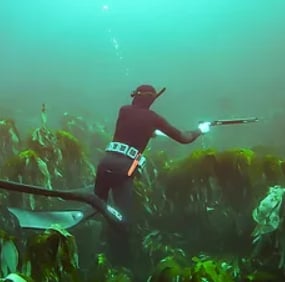 Spearfishing and Foraging Session in Shetland, Scotland, listing photo