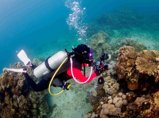 PADI Peak Performance Buoyancy Course in Littlehampton, listing photo