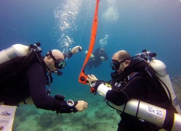 PADI Search and Recovery Diver Course in Littlehampton, listing photo
