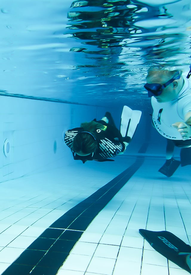 PADI Basic Freediver Course in Shetland, Scotland, listing photo