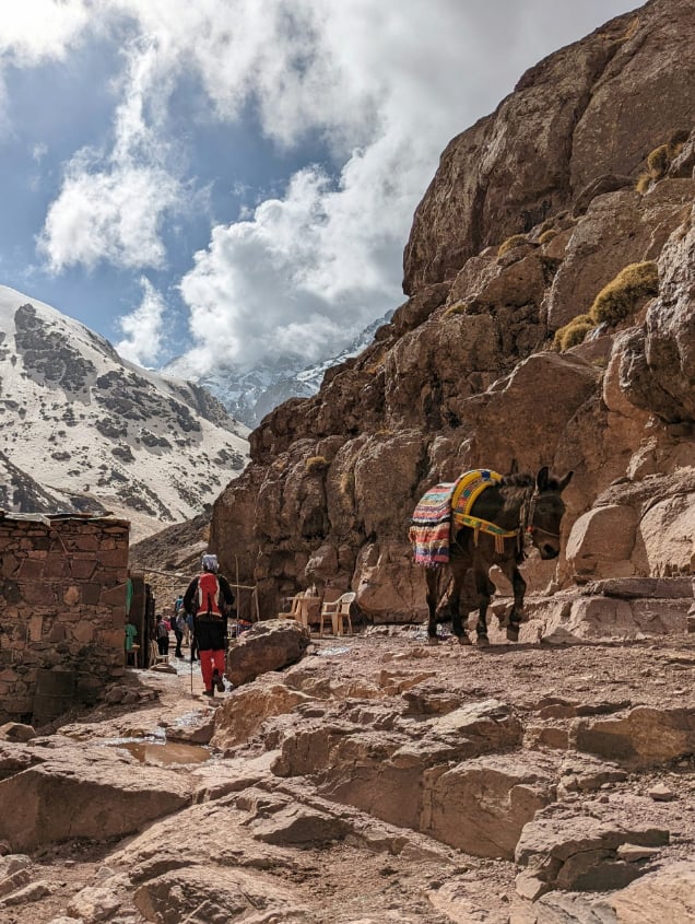 5 Day Private Mount Toubkal & Sahara Desert Adventure, listing photo