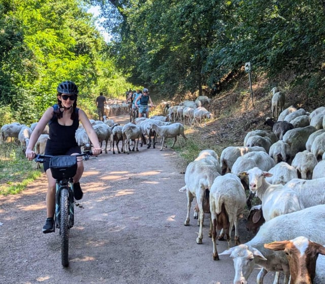 Bike & E-Bike Rental in Appia Antica, Rome, listing photo