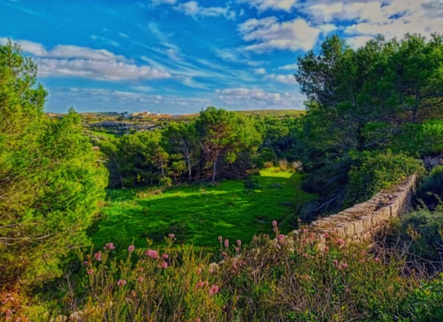 Private Chadwick Lakes, Victoria Lines & Bingemma Valley Nature Walk with Botanist, listing photo