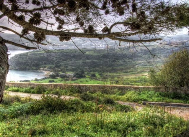Mistra Valley & Selmun Nature Walking Tour (Private Botanist-Led Hike), listing photo