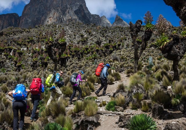4-Day Guided Mount Kenya Ascent – Sirimon Route, listing photo