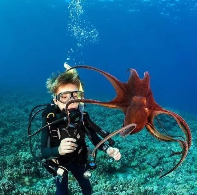 Master Seal Team Kids’ Specialty Aqua Missions (Ages 8+), listing photo