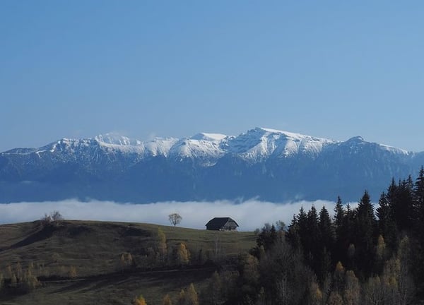 4-Day Carpathian Hiking Tour: Bucegi Mountains & Piatra Craiului National Park, listing photo