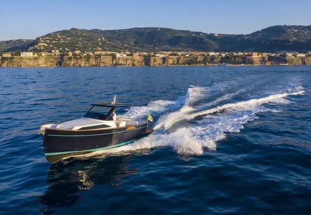 Apreamare 35 Private Boat Trip from Sorrento, listing photo
