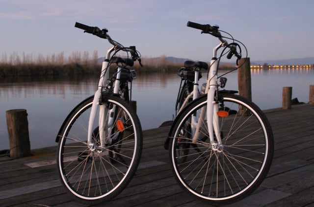 Electric Bike Rental in the Delta de l’Ebre, listing photo