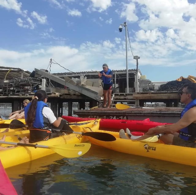 Pet Friendly Kayak Route, Sapinya Island Ebro Delta, listing photo