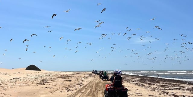 Essaouira Quad Biking Experience from Marrakech, listing photo
