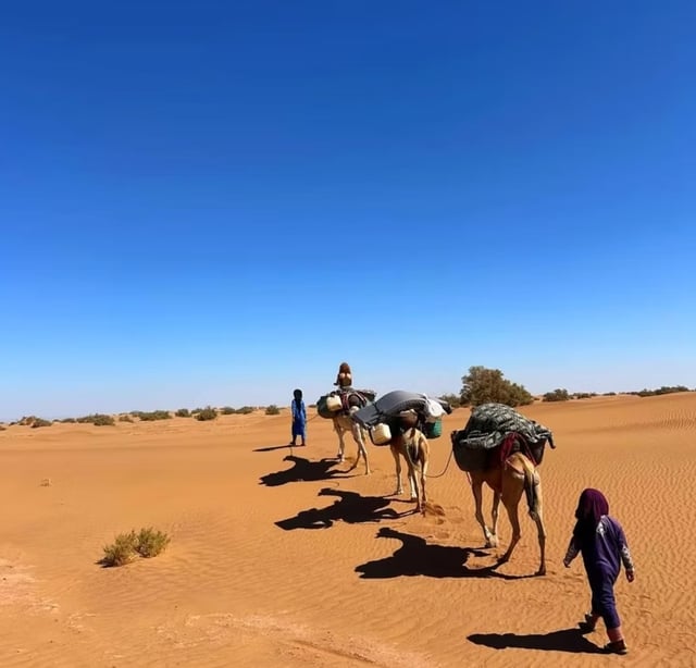Sahara Trek & Desert Bushcraft Expedition, Morocco, listing photo