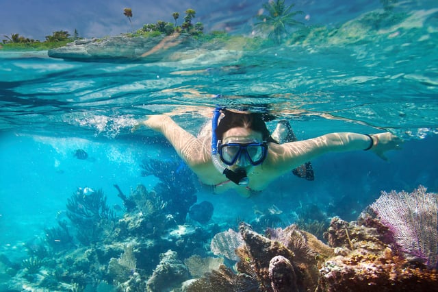 Snorkelling Experience in Unawatuna Bay – Guided Reef Tour, listing photo