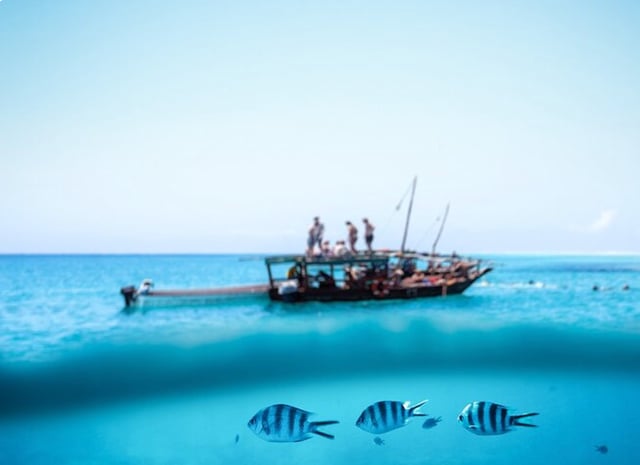 Mnemba Atoll Dhow Snorkeling Cruise with Swahili Lunch, listing photo