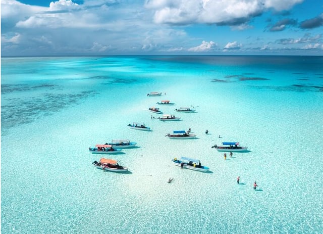 Mnemba Island Private Boat Snorkeling and Dolphin Tour, listing photo