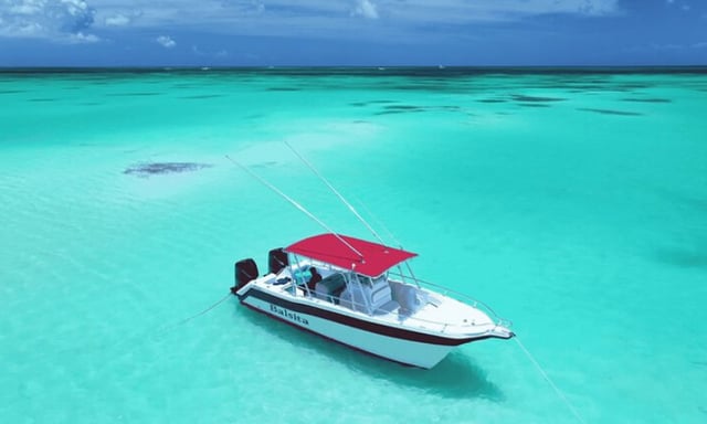 Private Full-Day Boat Trip to Isla Saona from Bayahibe, listing photo