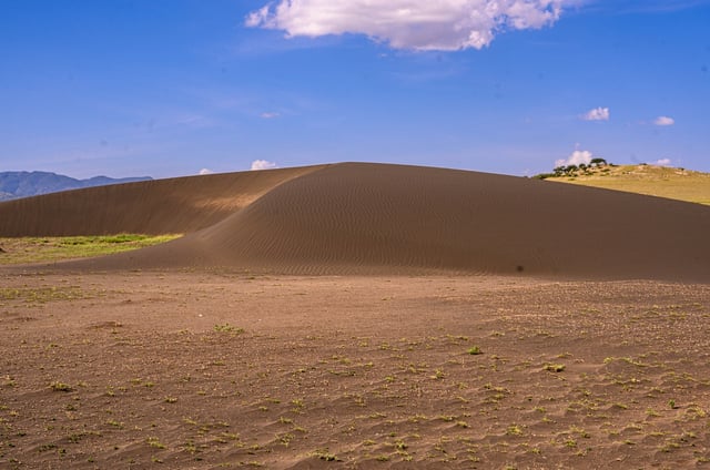 9-Day Ngorongoro Crater Highlands Trek & Rift Valley Adventure, listing photo