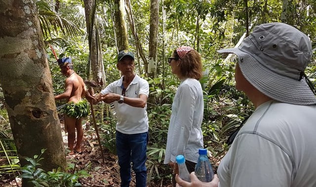 Guided Amazon Forest Trek from Manaus, listing photo