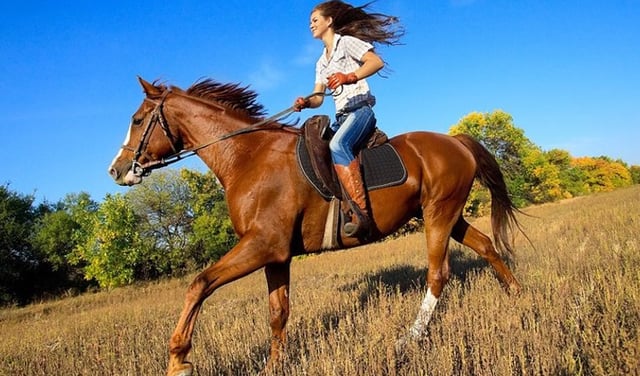 Arenal Volcano Horseback Riding and Hot Springs Private Tour, listing photo