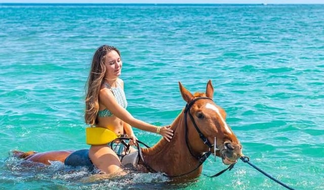 Horse Riding Desert and Sea Experience in Hurghada, listing photo