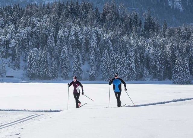 Lapland Cross Country Ski Adventure in Rovaniemi, listing photo