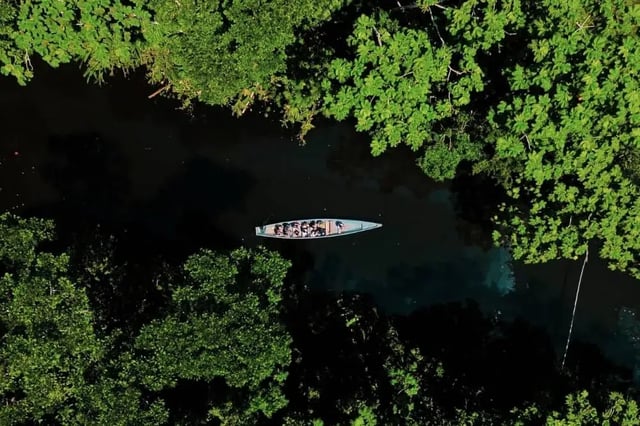 5-Day Amazon Adventure: Cuyabeno & Papallacta, Ecuador, listing photo