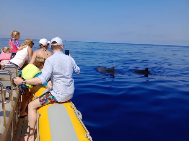 Dolphin Watching Boat Tour in Can Picafort, listing photo