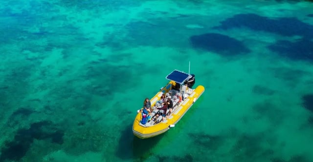 Private Boat Tour from Can Picafort, listing photo