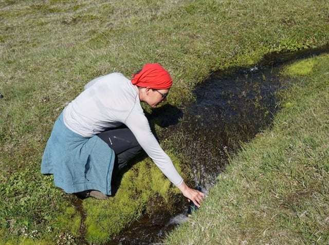 6 Day Private Hornstrandir Hiking Expedition in Iceland, listing photo
