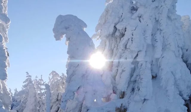 Private 2 Day Snowshoe Adventure from Sofia, listing photo
